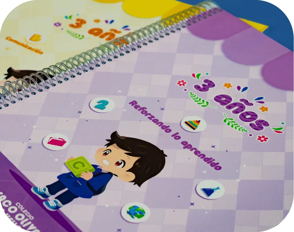 Proyecto 13